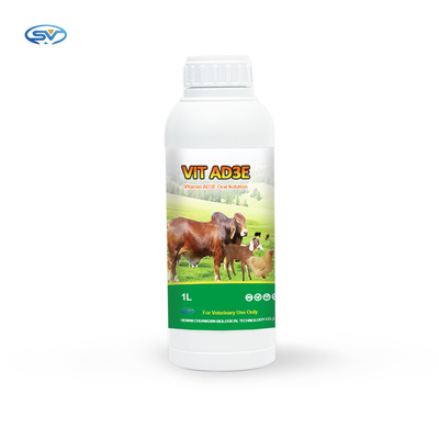 Προφορική προφορική λύση βιταμινών AD3E ιατρικής λύσης για τα άλογα, βοοειδή, πρόβατα, αίγες, χοίροι, σκυλιά, γάτες, ραβίνος